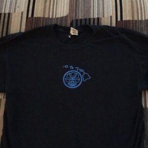 Hawaiian island creation T